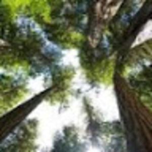 Meet your Posher, Rayna